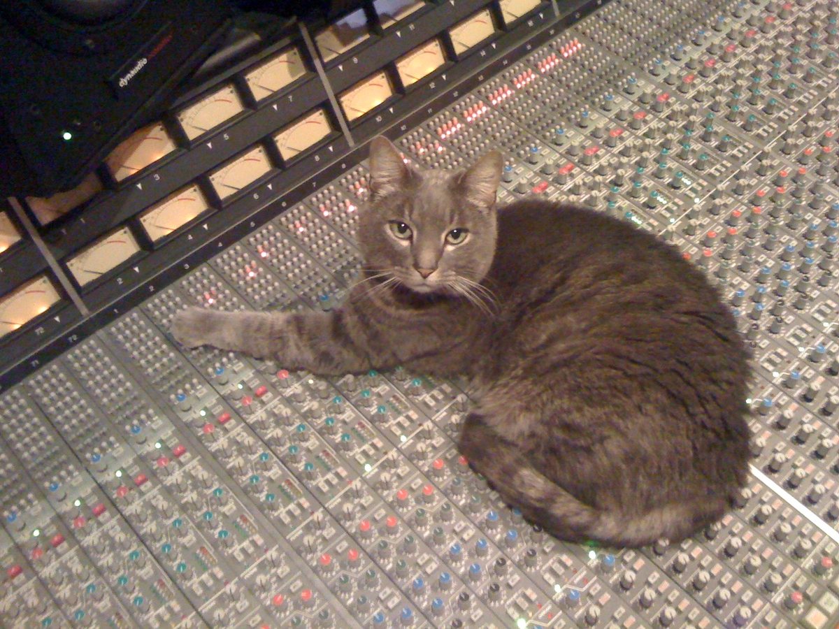 A grey tabby cat asleep on a mixing console